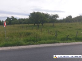 teren-extravilan-de-4000-mp-cu-livada-de-meri-si-acces-la-raul-argesel-valea-mare-pravat-arges