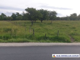 teren-extravilan-de-4000-mp-cu-livada-de-meri-si-acces-la-raul-argesel-valea-mare-pravat-arges-1