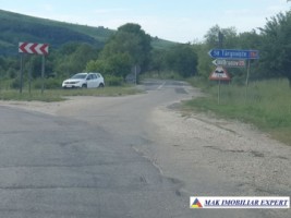 teren-extravilan-de-4000-mp-cu-livada-de-meri-si-acces-la-raul-argesel-valea-mare-pravat-arges-4