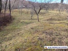 teren-intravilan-de-9000-mp-in-stoenesti-arges-ideal-pentru-dezvoltare-rezidentiala-1