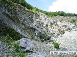 teren-8-ha-intraextravilan-de-vanzare-in-bughea-de-sus-arges-6