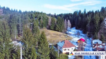 teren-8-ha-intraextravilan-de-vanzare-in-bughea-de-sus-arges-13