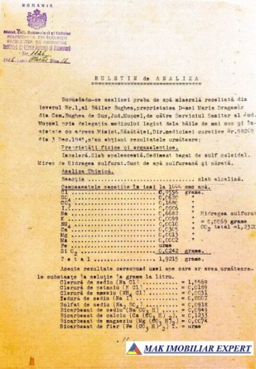 teren-8-ha-intraextravilan-de-vanzare-in-bughea-de-sus-arges-16