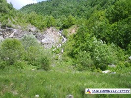 teren-8-ha-intraextravilan-de-vanzare-in-bughea-de-sus-arges-12