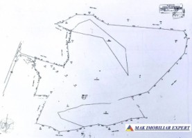 teren-8-ha-intraextravilan-de-vanzare-in-bughea-de-sus-arges-21