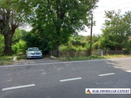 casa-3-camere-teren-6731-mp-de-vanzare-in-titesti-arges-12