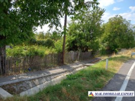 casa-3-camere-teren-6731-mp-de-vanzare-in-titesti-arges-16