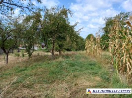 casa-3-camere-teren-6731-mp-de-vanzare-in-titesti-arges-15