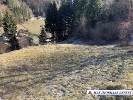 teren-5200-mp-extravilan-rucar-1
