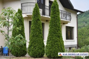 vila-cu-10-camere-si-teren-de-519-ha-de-vanzare-in-corbi-arges-ideala-pentru-investitii-rezidentiale-sau-turistice-1
