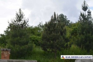 vila-cu-10-camere-si-teren-de-519-ha-de-vanzare-in-corbi-arges-ideala-pentru-investitii-rezidentiale-sau-turistice-7