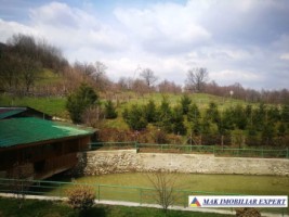 vila-cu-10-camere-si-teren-de-519-ha-de-vanzare-in-corbi-arges-ideala-pentru-investitii-rezidentiale-sau-turistice-4