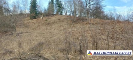 teren-intravilan-5000-mp-de-vanzare-in-bughea-de-sus-arges-2