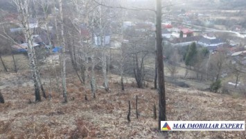 teren-intravilan-5000-mp-de-vanzare-in-bughea-de-sus-arges-3