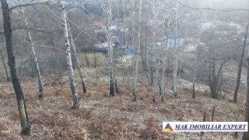 teren-intravilan-5000-mp-de-vanzare-in-bughea-de-sus-arges-4