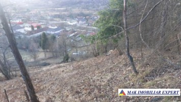 teren-intravilan-5000-mp-de-vanzare-in-bughea-de-sus-arges-5