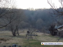 teren-intravilan-2571-mp-de-vanzare-in-aninoasa-2