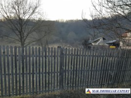 teren-intravilan-2571-mp-de-vanzare-in-aninoasa-6