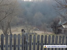 teren-intravilan-2571-mp-de-vanzare-in-aninoasa-3