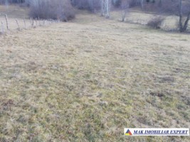 teren-intraextravilan-4800-mp-poduri-leresti-arges-ideal-pentru-constructii-sau-agricultura