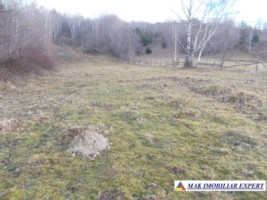 teren-intraextravilan-4800-mp-poduri-leresti-arges-ideal-pentru-constructii-sau-agricultura-1