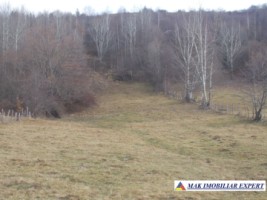 teren-intraextravilan-4800-mp-poduri-leresti-arges-ideal-pentru-constructii-sau-agricultura-2