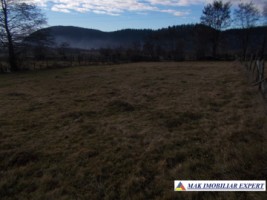 teren-intraextravilan-4800-mp-poduri-leresti-arges-ideal-pentru-constructii-sau-agricultura-3