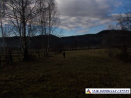 teren-intraextravilan-4800-mp-poduri-leresti-arges-ideal-pentru-constructii-sau-agricultura-4