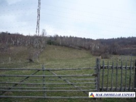 teren-intraextravilan-4800-mp-poduri-leresti-arges-ideal-pentru-constructii-sau-agricultura-6
