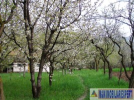 vila-tip-conac-duplex-6-camere-teren-3500-mp-de-vanzare-in-marcus-campulung-muscel-arges-12