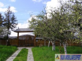 vila-tip-conac-duplex-6-camere-teren-3500-mp-de-vanzare-in-marcus-campulung-muscel-arges-13