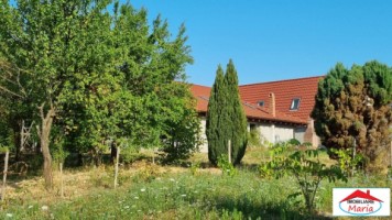 casa-pensiune-in-viile-satu-mare-teren-163-ha-11-camere-10-bai