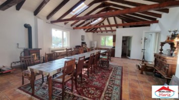 casa-pensiune-in-viile-satu-mare-teren-163-ha-11-camere-10-bai-2