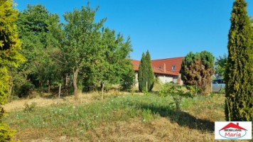 casa-pensiune-in-viile-satu-mare-teren-163-ha-11-camere-10-bai-1