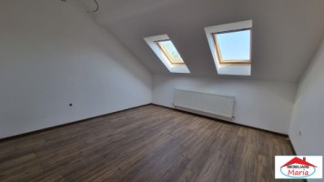 casa-pensiune-in-viile-satu-mare-teren-163-ha-11-camere-10-bai-5