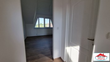 casa-pensiune-in-viile-satu-mare-teren-163-ha-11-camere-10-bai-7