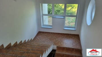 casa-pensiune-in-viile-satu-mare-teren-163-ha-11-camere-10-bai-11