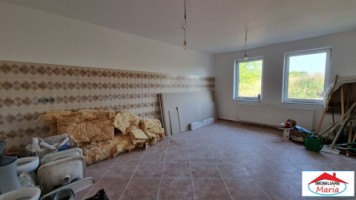 casa-pensiune-in-viile-satu-mare-teren-163-ha-11-camere-10-bai-12