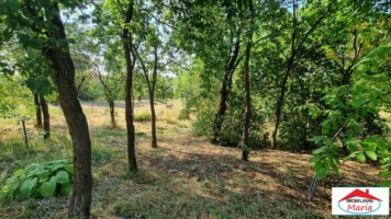 casa-pensiune-in-viile-satu-mare-teren-163-ha-11-camere-10-bai-13