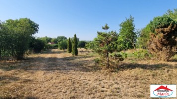 casa-pensiune-in-viile-satu-mare-teren-163-ha-11-camere-10-bai-14