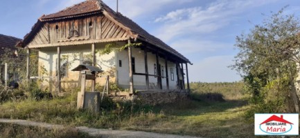 casa-veche-cu-teren-2575-mp-in-medisa-id-22842-2