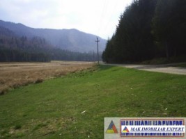 teren-extravilan-1-ha-de-vanzare-in-arefu-poienile-valsanului-ideal-pentru-investitii-agricole-sau-turistice