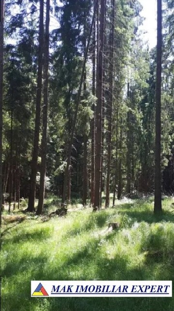 teren-extravilan-1-ha-de-vanzare-in-arefu-poienile-valsanului-ideal-pentru-investitii-agricole-sau-turistice-2