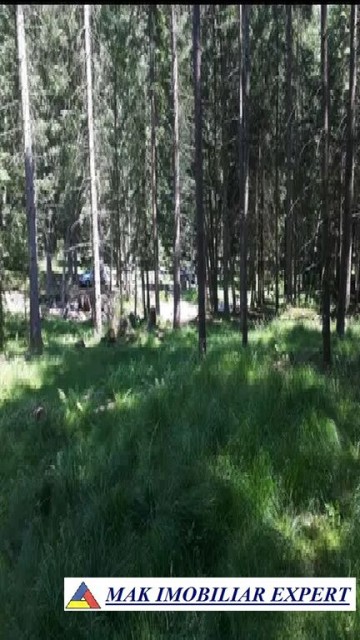 teren-extravilan-1-ha-de-vanzare-in-arefu-poienile-valsanului-ideal-pentru-investitii-agricole-sau-turistice-3