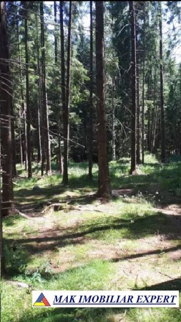 teren-extravilan-1-ha-de-vanzare-in-arefu-poienile-valsanului-ideal-pentru-investitii-agricole-sau-turistice-4