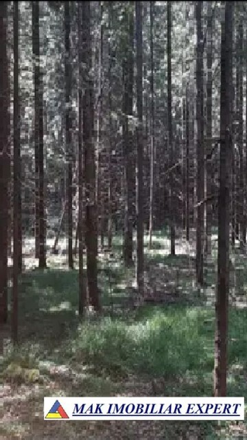 teren-extravilan-1-ha-de-vanzare-in-arefu-poienile-valsanului-ideal-pentru-investitii-agricole-sau-turistice-5