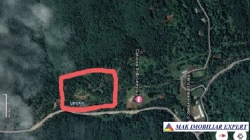 teren-extravilan-1-ha-de-vanzare-in-arefu-poienile-valsanului-ideal-pentru-investitii-agricole-sau-turistice-8
