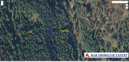 teren-extravilan-1-ha-de-vanzare-in-arefu-poienile-valsanului-ideal-pentru-investitii-agricole-sau-turistice-12