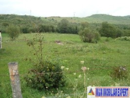 teren-extravilan-de-4076-mp-utilizat-ca-faneata-cu-deschidere-de-27-m-la-sosea-situat-in-valea-mare-pravat-arges-2
