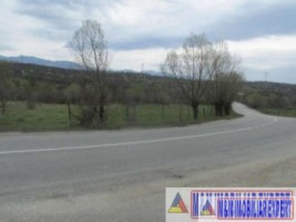 teren-extravilan-de-4076-mp-utilizat-ca-faneata-cu-deschidere-de-27-m-la-sosea-situat-in-valea-mare-pravat-arges-3